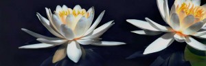 psychiatrist west los angeles